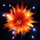 Image for article titled Shoddy Inventory System Enables Theft Of $3 Million Worth Of Chihuly Art
